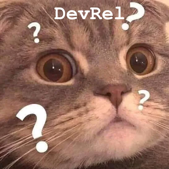 A confused cat surrounded by question marks and the word DevRel